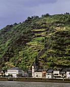 St. Goarshausen vor seinem steilen Weinberg am Mittelrhein