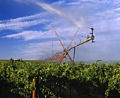 Regenbogen über Bewässerungsanlage für Wein in Washington,USA
