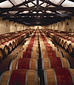 Weinkeller für Zweijährige, Château Langoa,St-Julien,Bordeaux