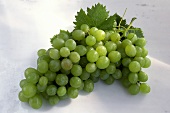 A Bunch of Green Grapes