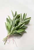 A Bouquet of Sage Tied with a String
