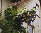 Sektkellerei von Deidesheim, größter Spitzenweinort der Pfalz