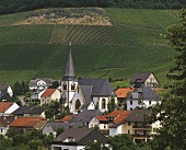 Der Weinort Ockfen vor der Einzellage Bockstein an der Saar