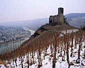 Schneebedeckt: Weinberg an der Burg Landshut,Bernkastel,Mosel