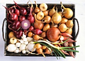 Several Bulb Vegetables in Crate from Overhead
