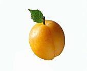 Eine Aprikose mit Blatt