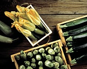 Zucchini in Crates; Zucchini Blossoms