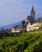 Weissenkirchen an der Donau, Weinort der Wachau, Österreich