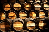 Moscato barrels at J.P. Vinhos, a leading Portuguese winery