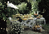 Outdoor Buffet Set up on a Picnic Table in a Garden