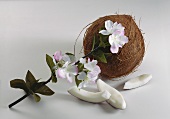 A coconut with almond blossom & coconut pieces lying in front