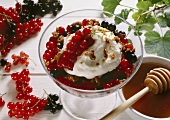 Vanilla mousse with currants & almond honey