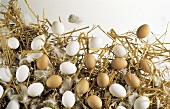 Brown and White Eggs on Hay; Feathers
