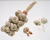 Garlic Braid with Bulbs and Cloves