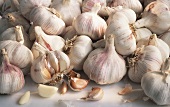 Many Bulbs of Garlic
