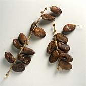 Dried Dates with Branches