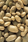 Several Potatoes in Pile from Overhead