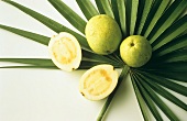 Guavas, one cut open, on palm leaf