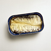 An Opened Can of Sardines