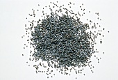 Blue poppy seeds