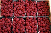 Boxes of Fresh Raspberries at a Market