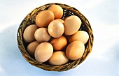 A Basket of Brown Eggs