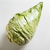 A Head of Pointed White Cabbage
