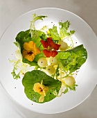 Frisee-Kapuzinerkresse-Salat mit Melonenkugeln