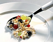 A Spoon Scooping Muesli from a Bowl with Milk