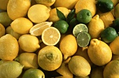 Assorted Types of Citrus from Overhead