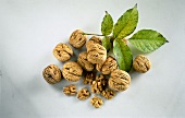 Whole and Shelled Walnuts with Leaves