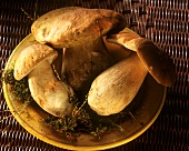 Three Ceps with Moss in a Bowl