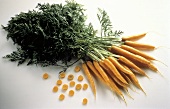 A Bundle of Fresh Whole Carrots; Carrot Slices
