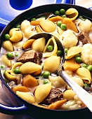 Pasta stew with pasta shells, vegetables and meat