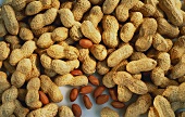 Many Whole Peanuts with Some Shelled Peanuts