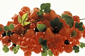 Stillleben mit Erdbeeren, Himbeeren, Johannisbeeren & Kirschen