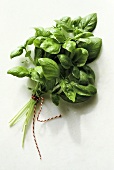 Basil Bouquet