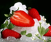 Sliced Strawberries on Ice