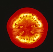 Eine Tomatenscheibe, von unten durchleuchtet