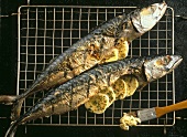 Grilled mackerel with butter on grill rack