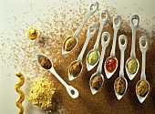 Mustard, mustard seeds & various mustard sauces on spoons