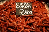Rote Garnelen (Gamba Gorda) am Marktstand eines Fischhändlers