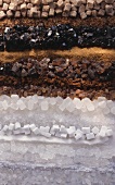 Various types of sugar lying next to each other