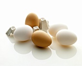 Zwei weiße, drei braune Eier & ein Stück Eierkarton