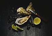 Portuguese oysters beside limes and oyster knife
