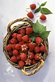 Fresh Raspberries in a Basket