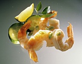 Cocktail Shrimp with Herbs