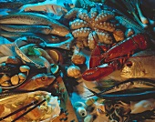 Assorted Fish and Seafood Still Life