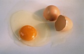Raw Egg Cracked Open; Shell