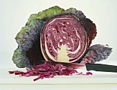 Cross Section of Red Cabbage